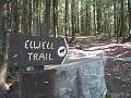 Elwell Trail NH 2010